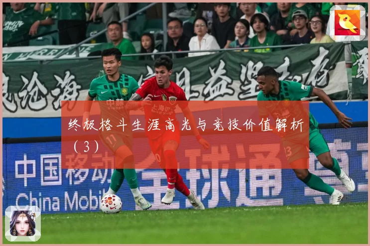 终极格斗生涯高光与竞技价值解析（3）