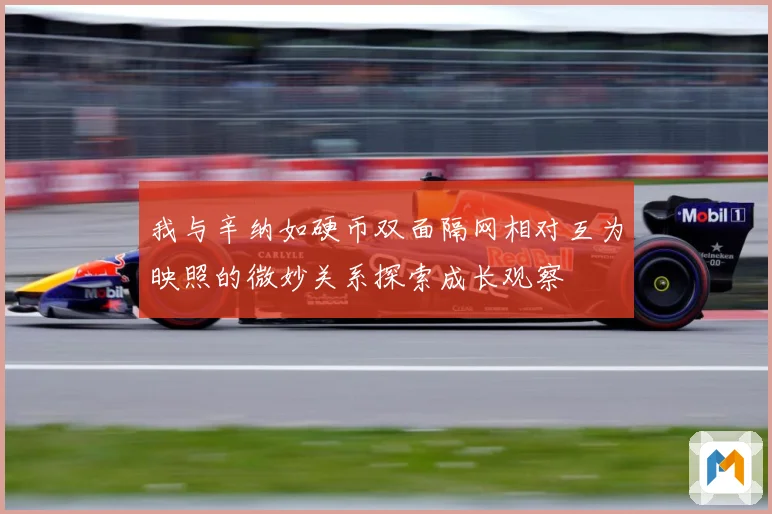 我与辛纳如硬币双面隔网相对互为映照的微妙关系探索成长观察